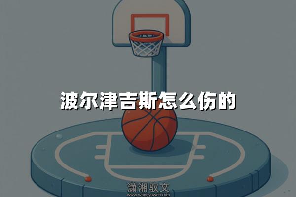 波尔津吉斯怎么伤的