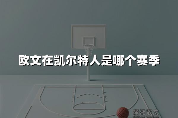 欧文在凯尔特人是哪个赛季