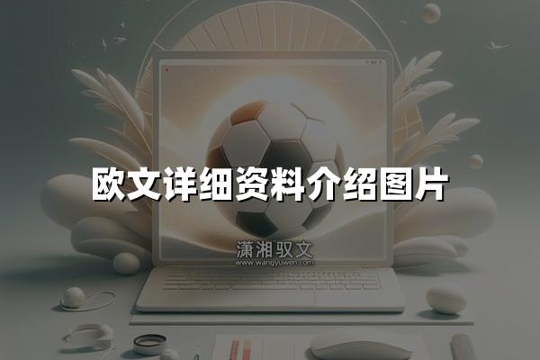 欧文详细资料介绍图片