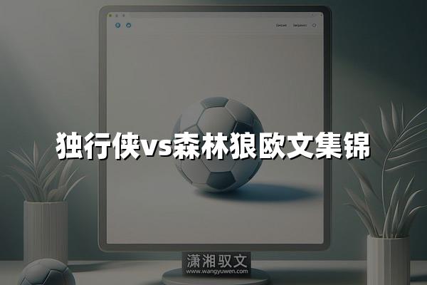 独行侠vs森林狼欧文集锦