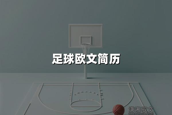 足球欧文简历