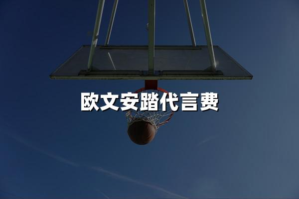 欧文安踏代言费