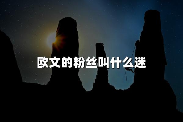 欧文的粉丝叫什么迷