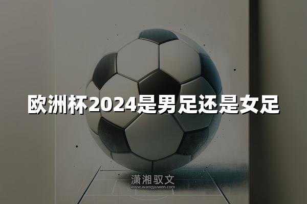 欧洲杯2024是男足还是女足