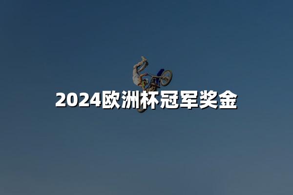 2024欧洲杯冠军奖金