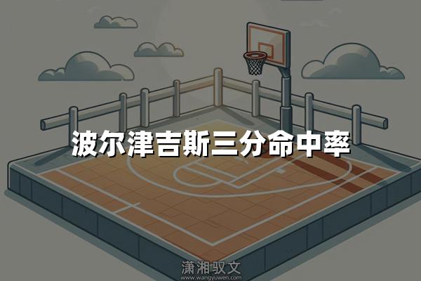 波尔津吉斯三分命中率