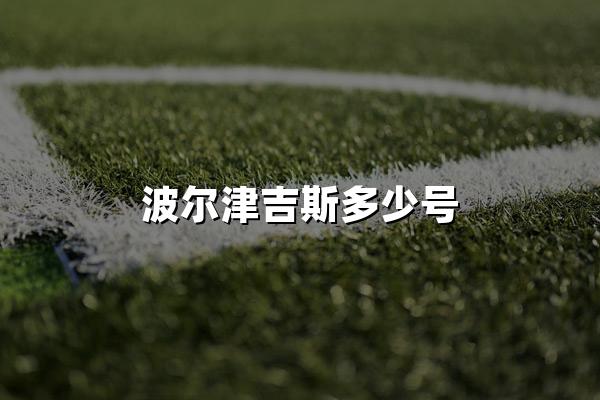 波尔津吉斯多少号