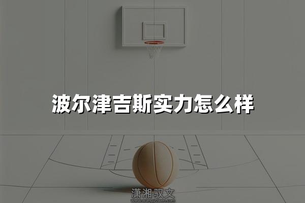 波尔津吉斯实力怎么样