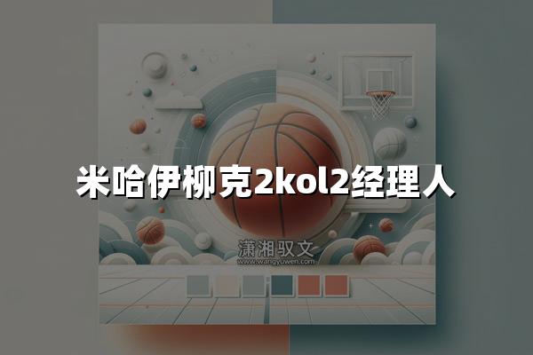 米哈伊柳克2kol2经理人