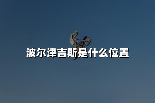 波尔津吉斯是什么位置