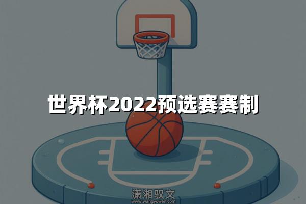 世界杯2022预选赛赛制