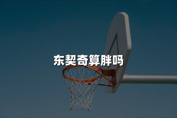 东契奇算胖吗