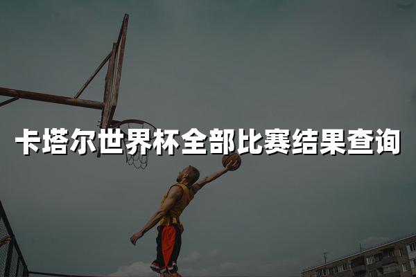 卡塔尔世界杯全部比赛结果查询