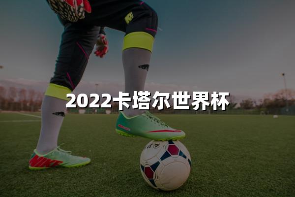 2022卡塔尔世界杯