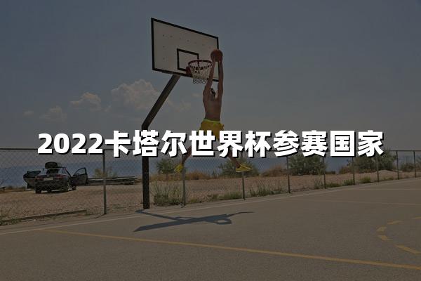 2022卡塔尔世界杯参赛国家