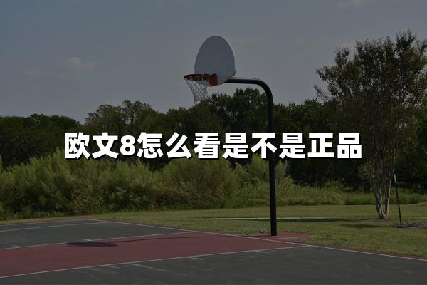 欧文8怎么看是不是正品