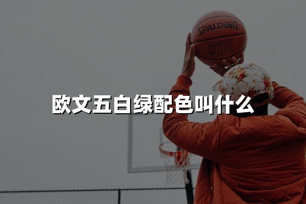 欧文五白绿配色叫什么