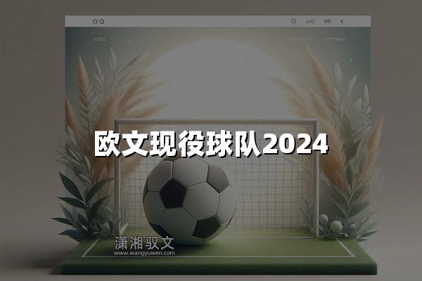 欧文现役球队2024