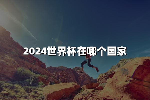 2024世界杯在哪个国家