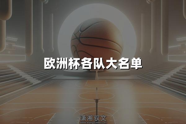 欧洲杯各队大名单