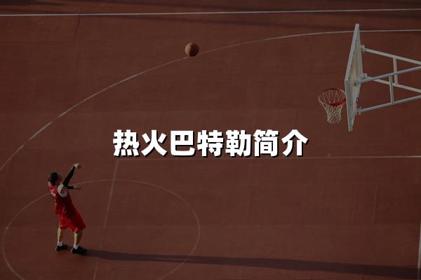 热火巴特勒简介