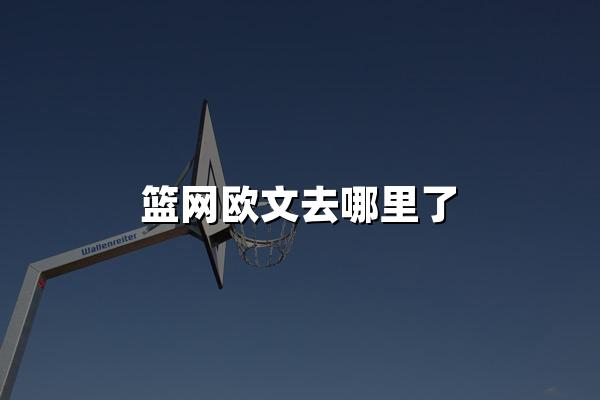 篮网欧文去哪里了