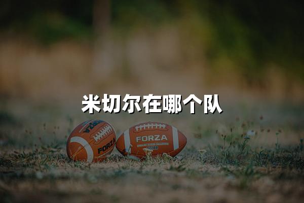 米切尔在哪个队