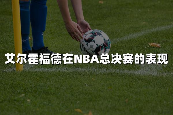 艾尔霍福德在NBA总决赛的表现