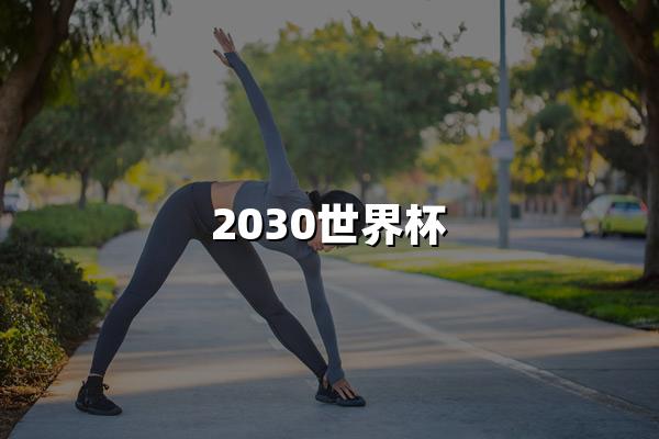 2030世界杯