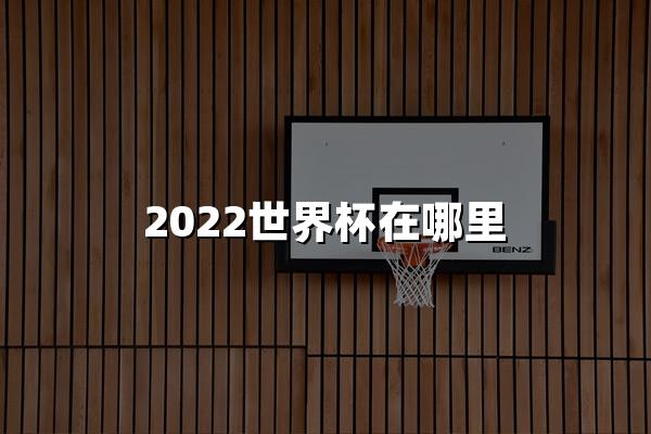 2022世界杯在哪里