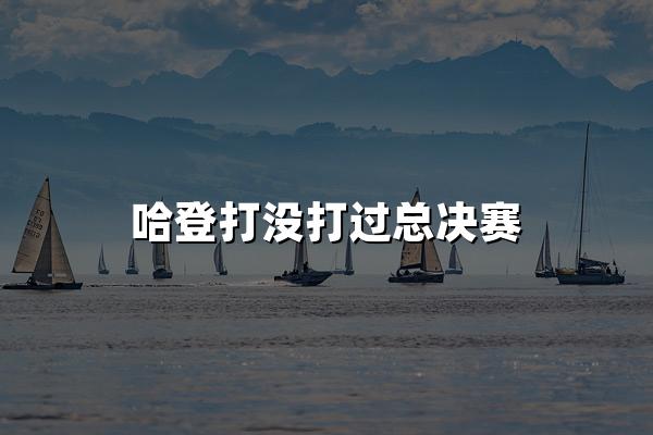 哈登打没打过总决赛