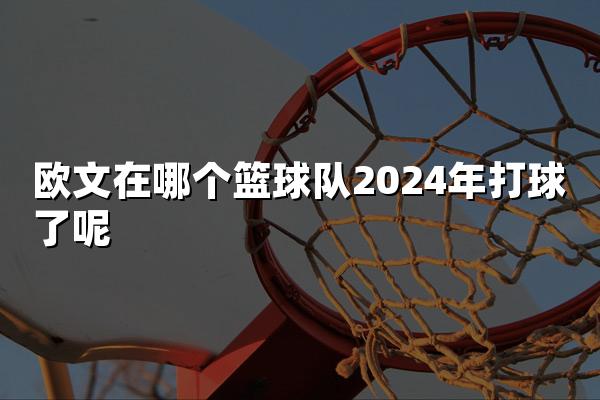 欧文在哪个篮球队2024年打球了呢