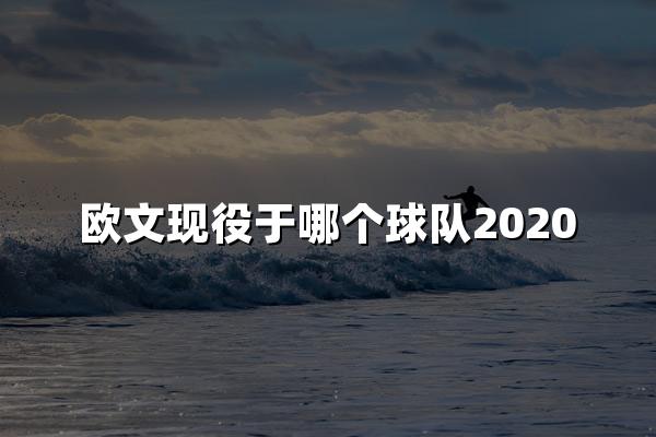 欧文现役于哪个球队2020