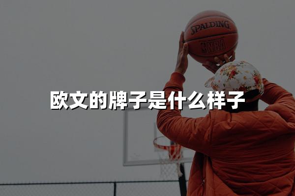 欧文的牌子是什么样子