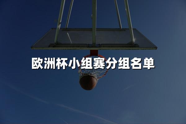 欧洲杯小组赛分组名单