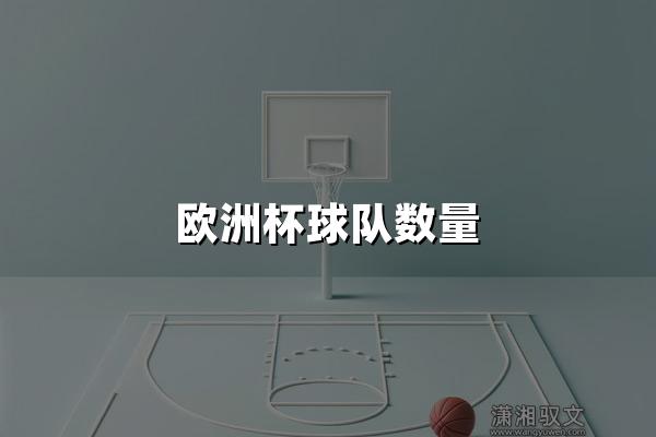 欧洲杯球队数量