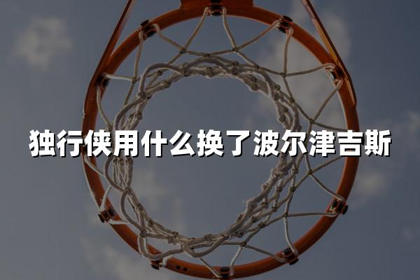 独行侠用什么换了波尔津吉斯