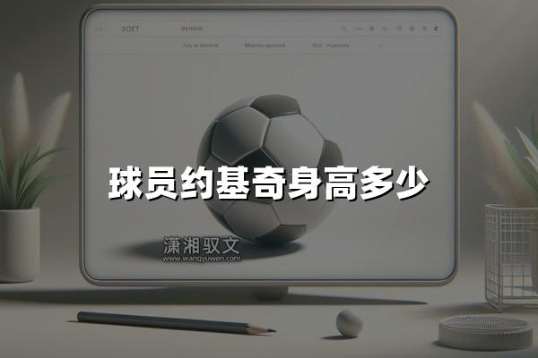 球员约基奇身高多少