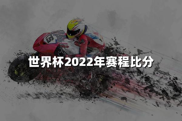 世界杯2022年赛程比分