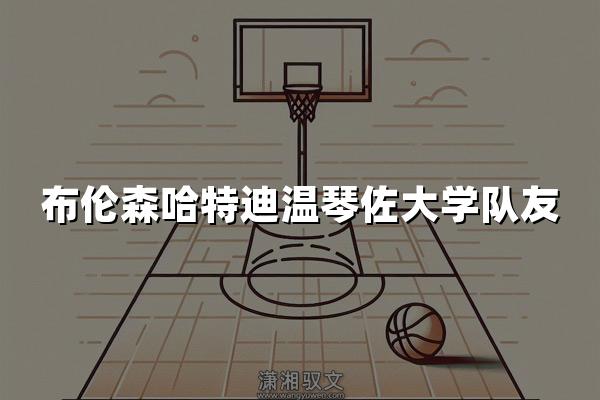 布伦森哈特迪温琴佐大学队友