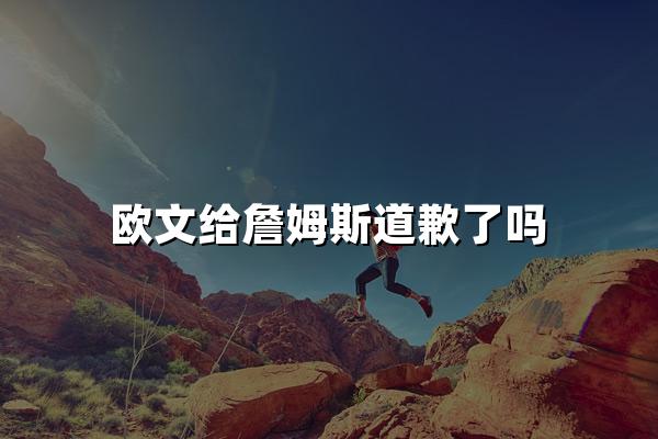 欧文给詹姆斯道歉了吗