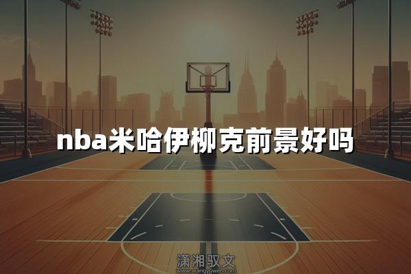 nba米哈伊柳克前景好吗