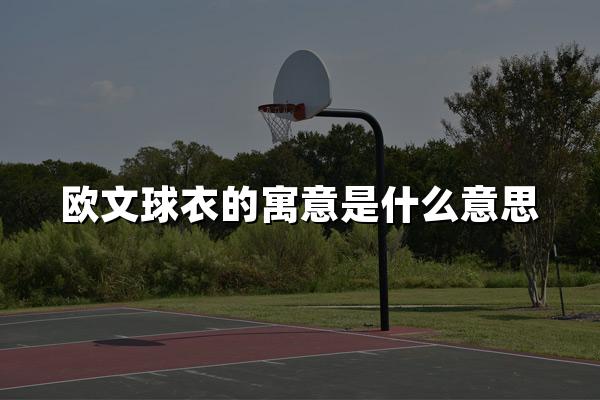 欧文球衣的寓意是什么意思