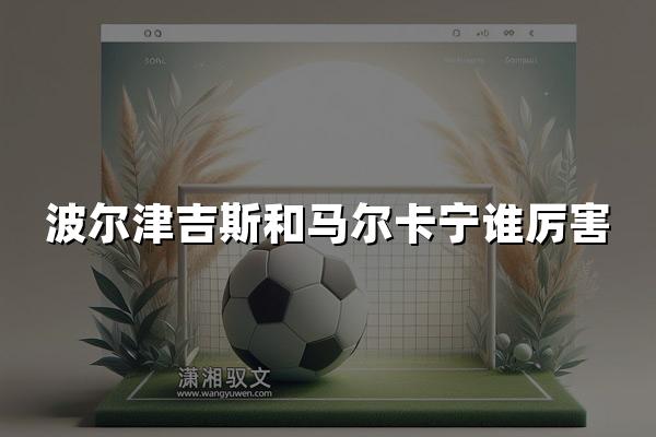 波尔津吉斯和马尔卡宁谁厉害