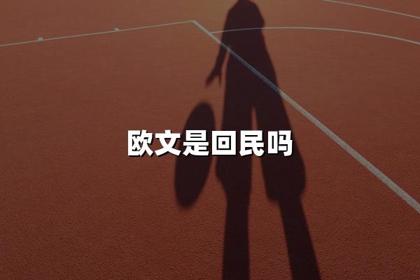 欧文是回民吗