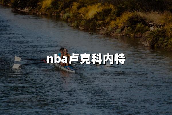 nba卢克科内特