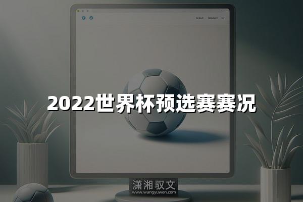 2022世界杯预选赛赛况