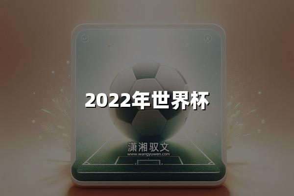 2022年世界杯