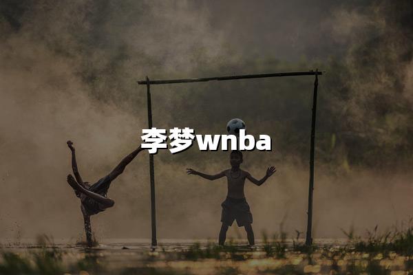 李梦wnba