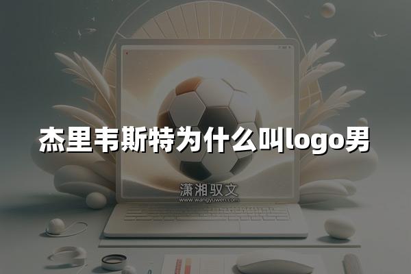 杰里韦斯特为什么叫logo男